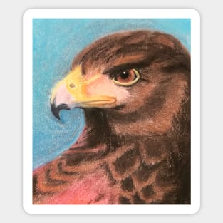 Red Hawk Artwork Sticker